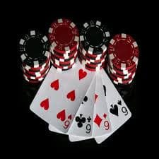 dingdongtogel Halaman dasar